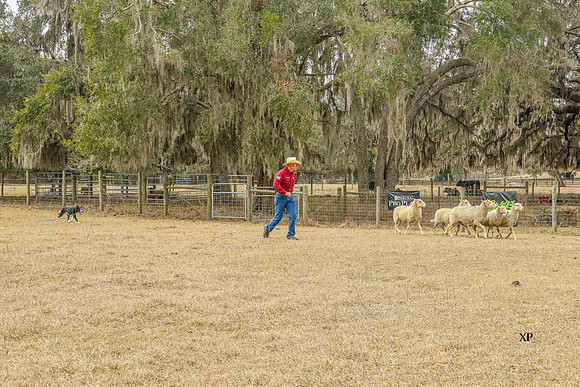 3C9A7199