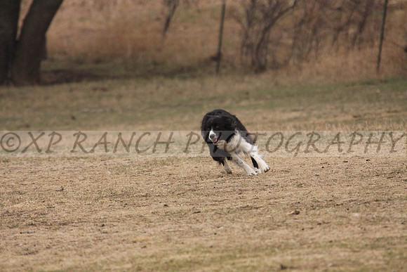 IMG_0037_16_2014