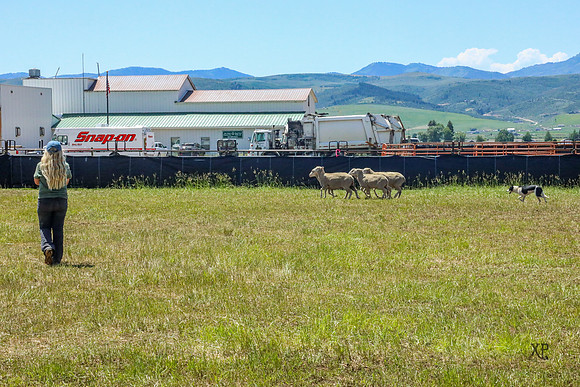 3C9A4793