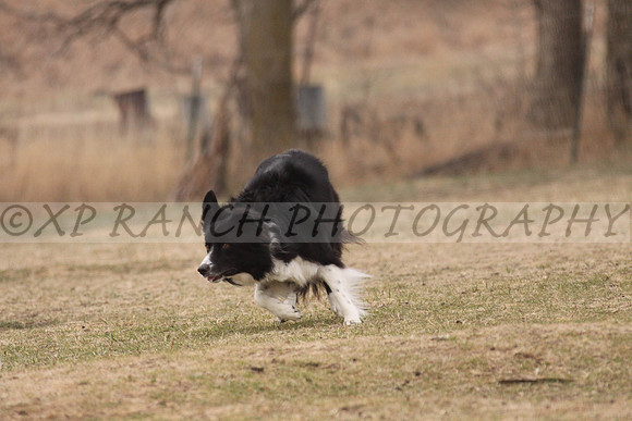 IMG_0063_42_2014