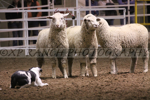 IMG_7471_15_2014