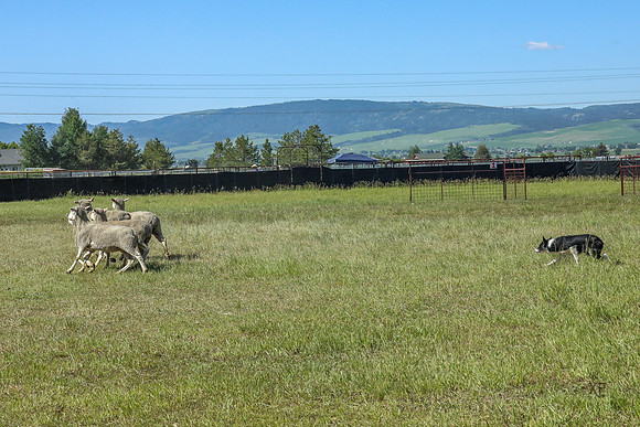 3C9A2354