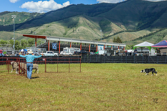3C9A4883