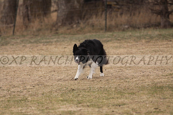 IMG_0055_34_2014