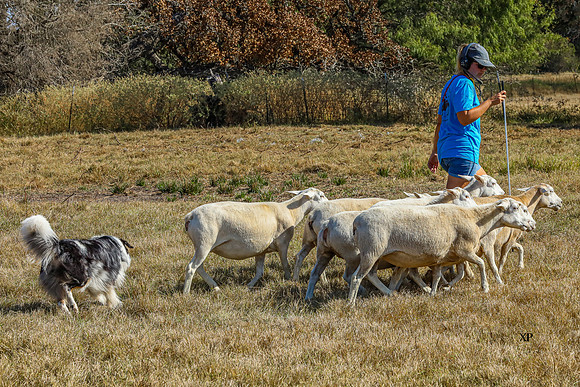 3C9A6019