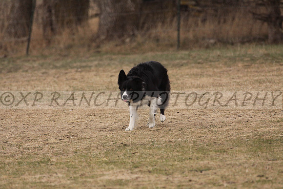 IMG_0056_35_2014