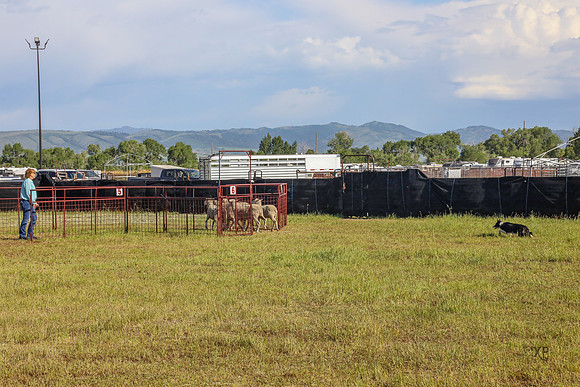 3C9A5069