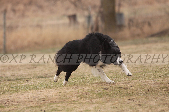 IMG_0066_45_2014