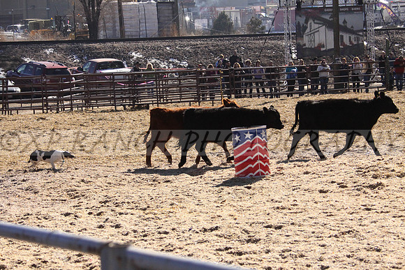 IMG_6961_25_2014