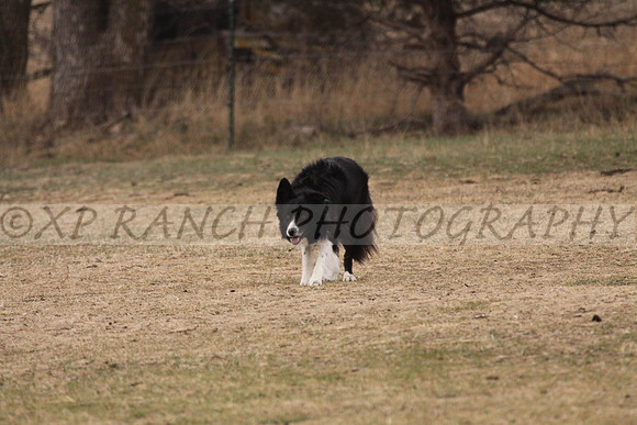 IMG_0051_30_2014