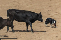 Cindy Jennings and Bay