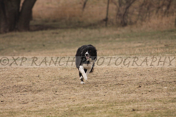 IMG_0039_18_2014