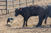 Shane Harley and Timmy