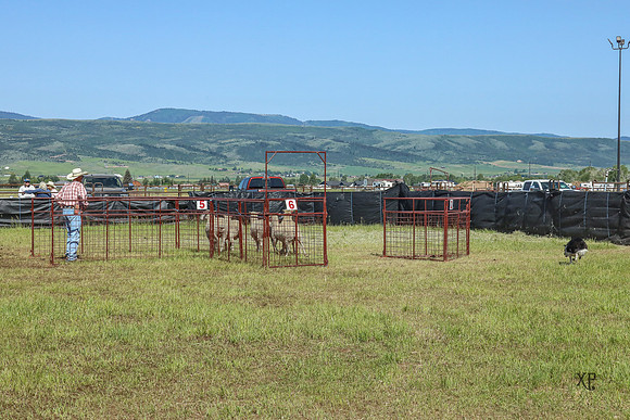 3C9A5748