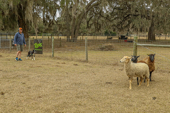 3C9A7446