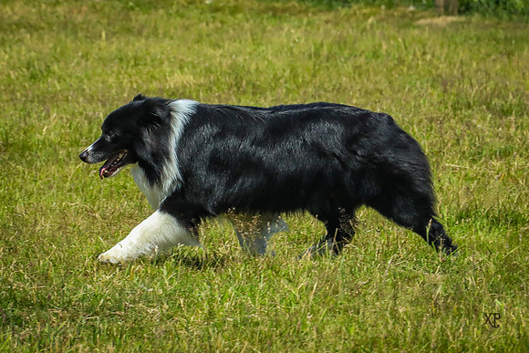 3C9A6971-2