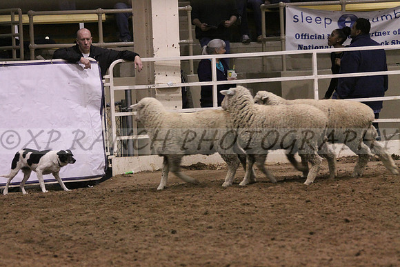IMG_7460_4_2014