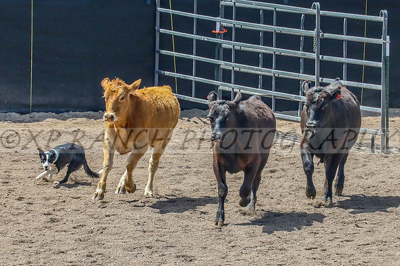 3I2A8004_9_2019