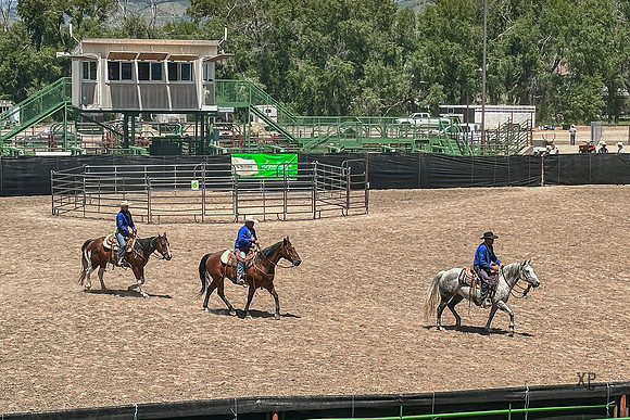 IMG_5345