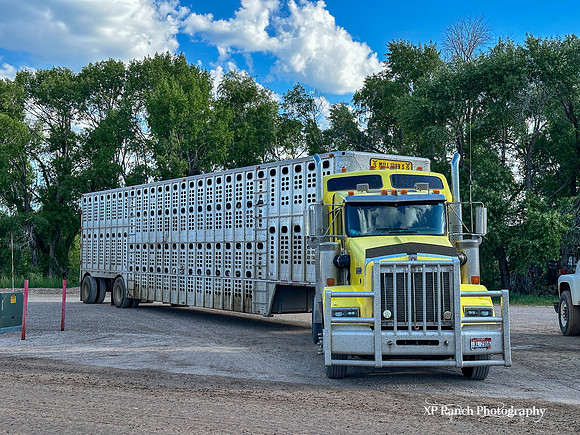 IMG_6743
