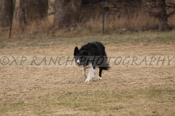 IMG_0054_33_2014