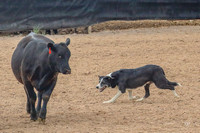 Carter and Max