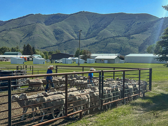 IMG_5329 2