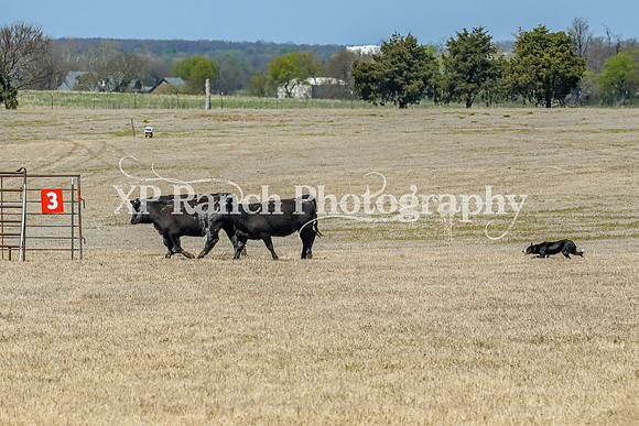 3C9A0078