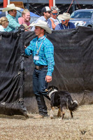 Rex Shippy