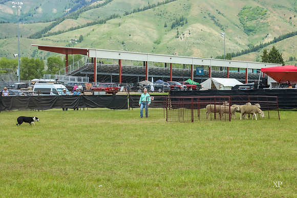 3C9A0272
