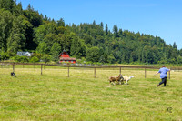 3C9A6867