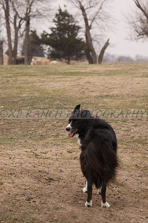 IMG_0075_54_2014