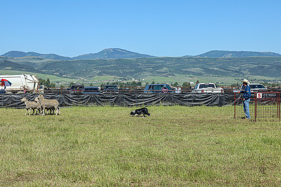 3C9A3394