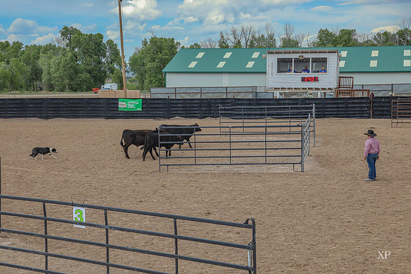 3C9A0408