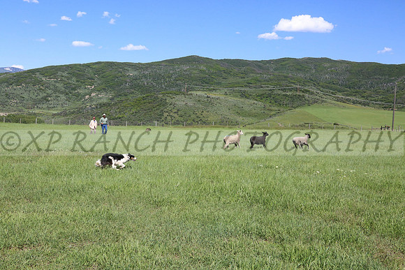 XP144481_223_2014