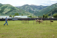 3C9A0366