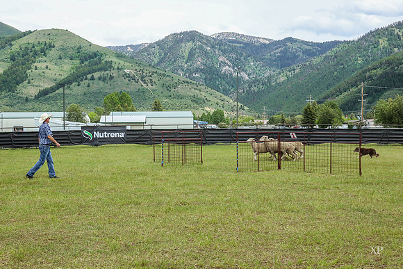 3C9A0366