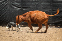 Carter and Leah