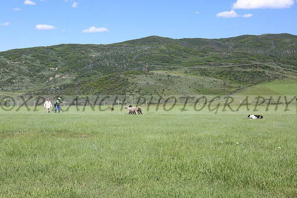 XP144483_225_2014