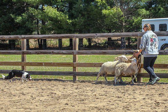 3C9A0396