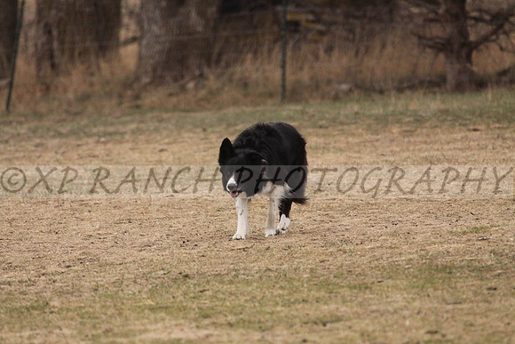 IMG_0052_31_2014