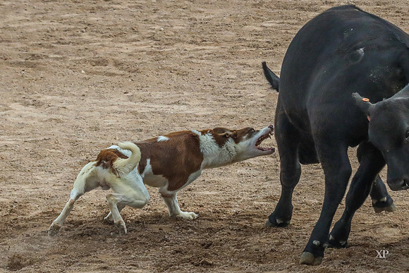 3C9A9027