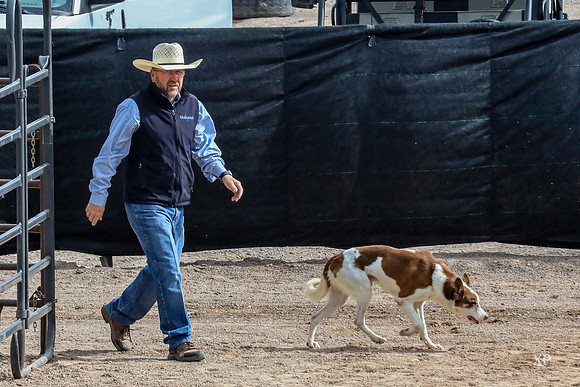 3C9A8990