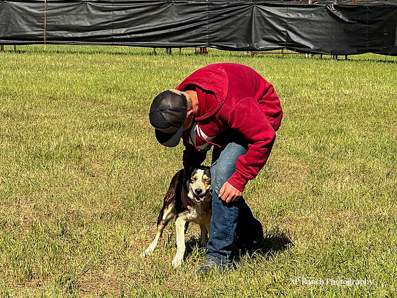 IMG_6353