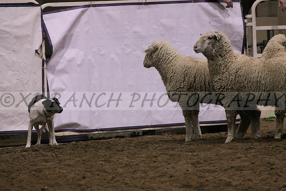 IMG_7461_5_2014