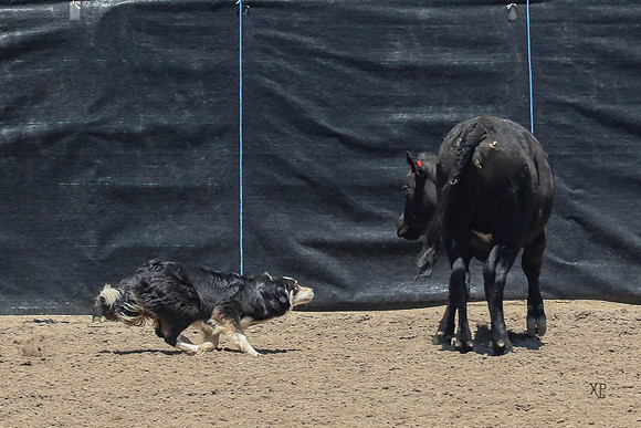 3C9A3998