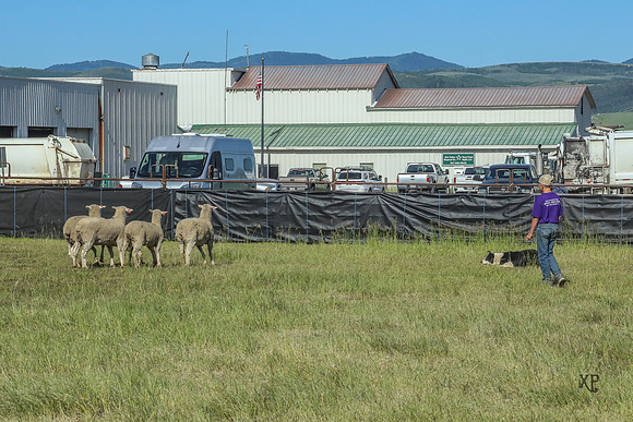 3C9A2284