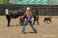 Junior Handlers