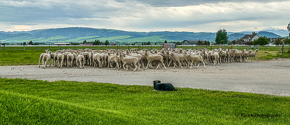 IMG_7616 2