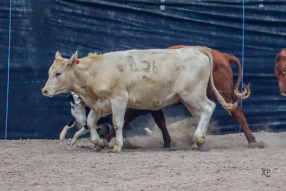3C9A5671